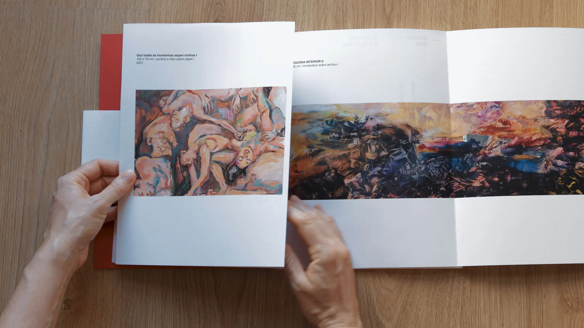 Daniela Reis - O silêncio e a multidão/Livro